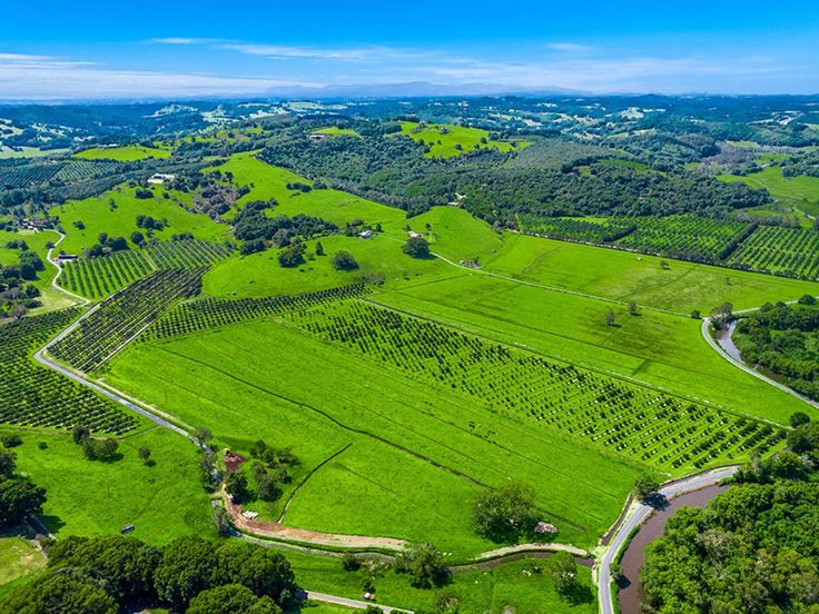 Thực trạng và xu hướng phát triển bất động sản nông nghiệp tại Việt Nam Bất động sản nông nghiệp là gì?