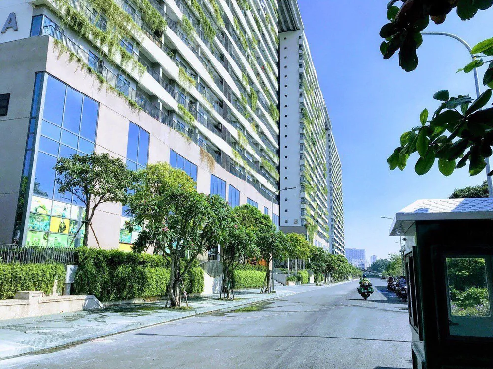 Mua theo cảm tính thay vì có kế hoạch cụ thể Mua theo cảm tính thay vì có kế hoạch cụ thể